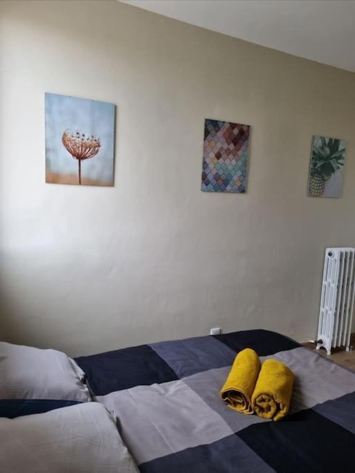 Ferienwohnung Superbe T3 Cosy, Parking Gratuit + Balcon Riom Exterior foto