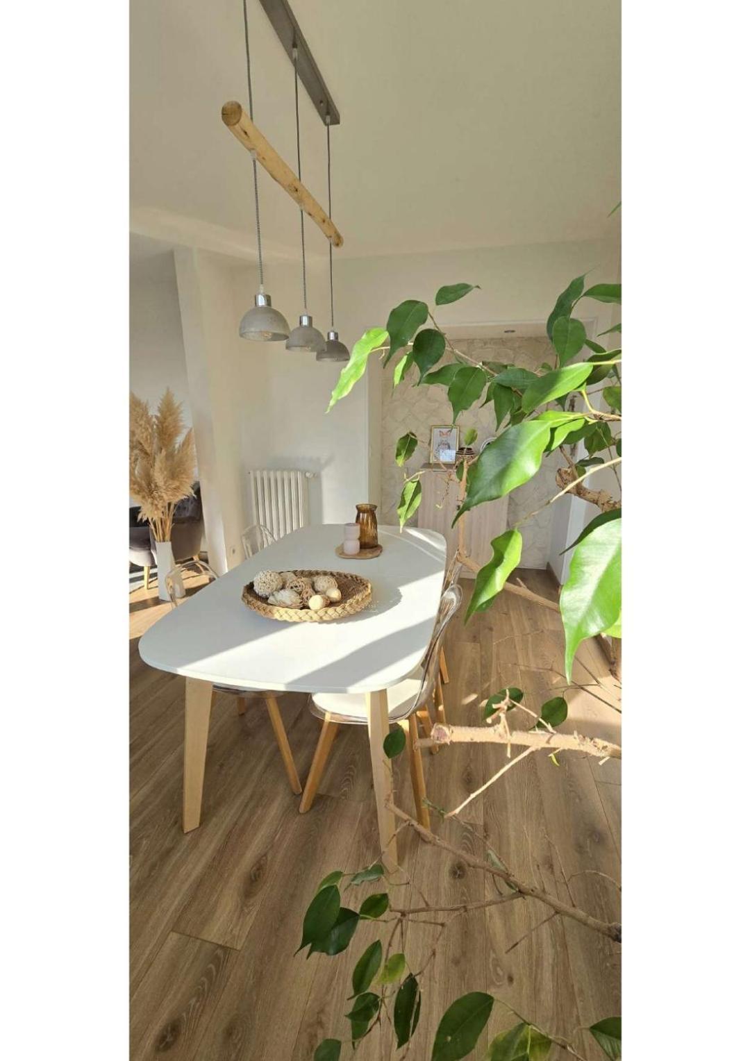 Ferienwohnung Superbe T3 Cosy, Parking Gratuit + Balcon Riom Exterior foto