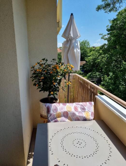 Ferienwohnung Superbe T3 Cosy, Parking Gratuit + Balcon Riom Exterior foto